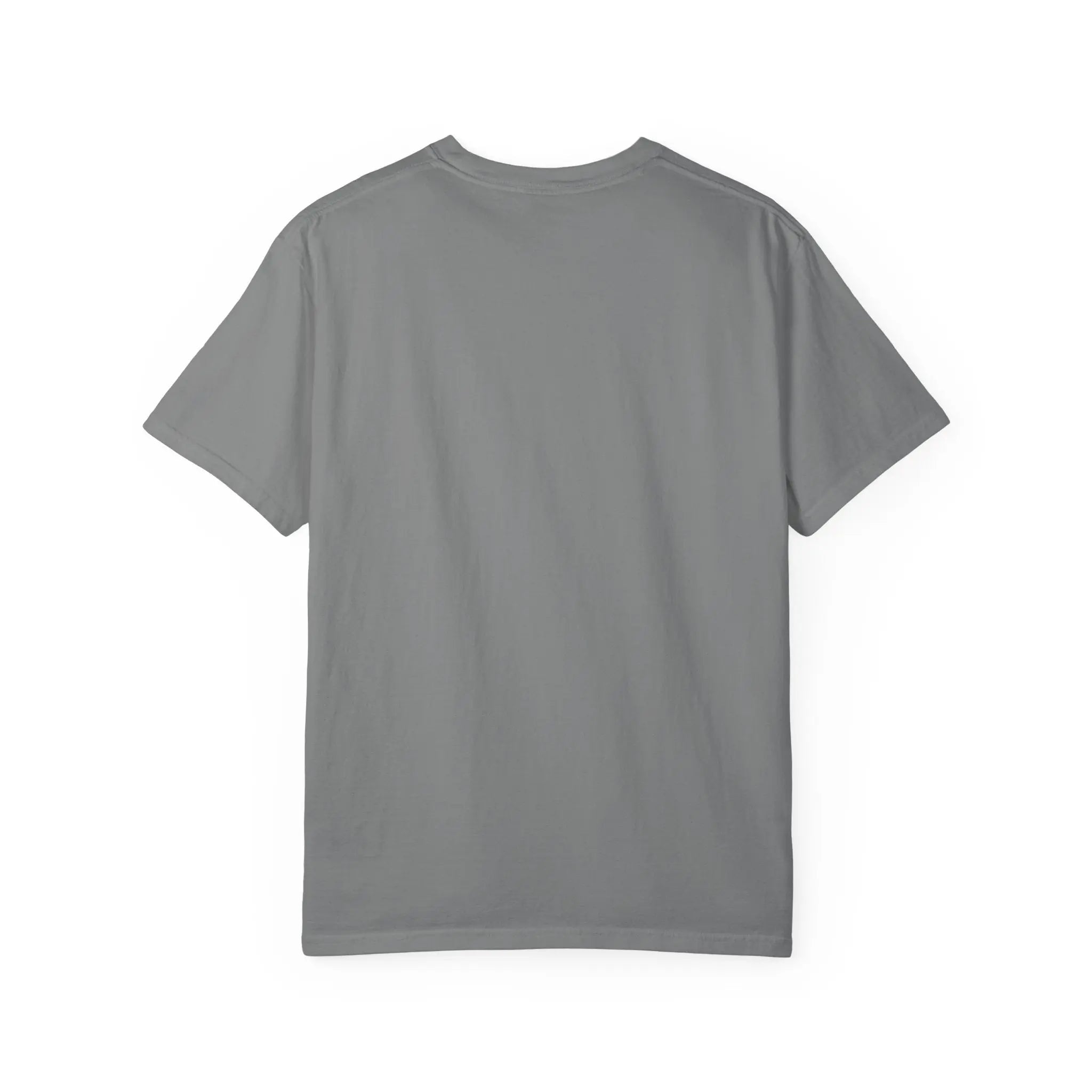 Da Vinci's Vitruvian Man with a Guitar T-Shirt — Classic White Garment-Dyed Tee Printify