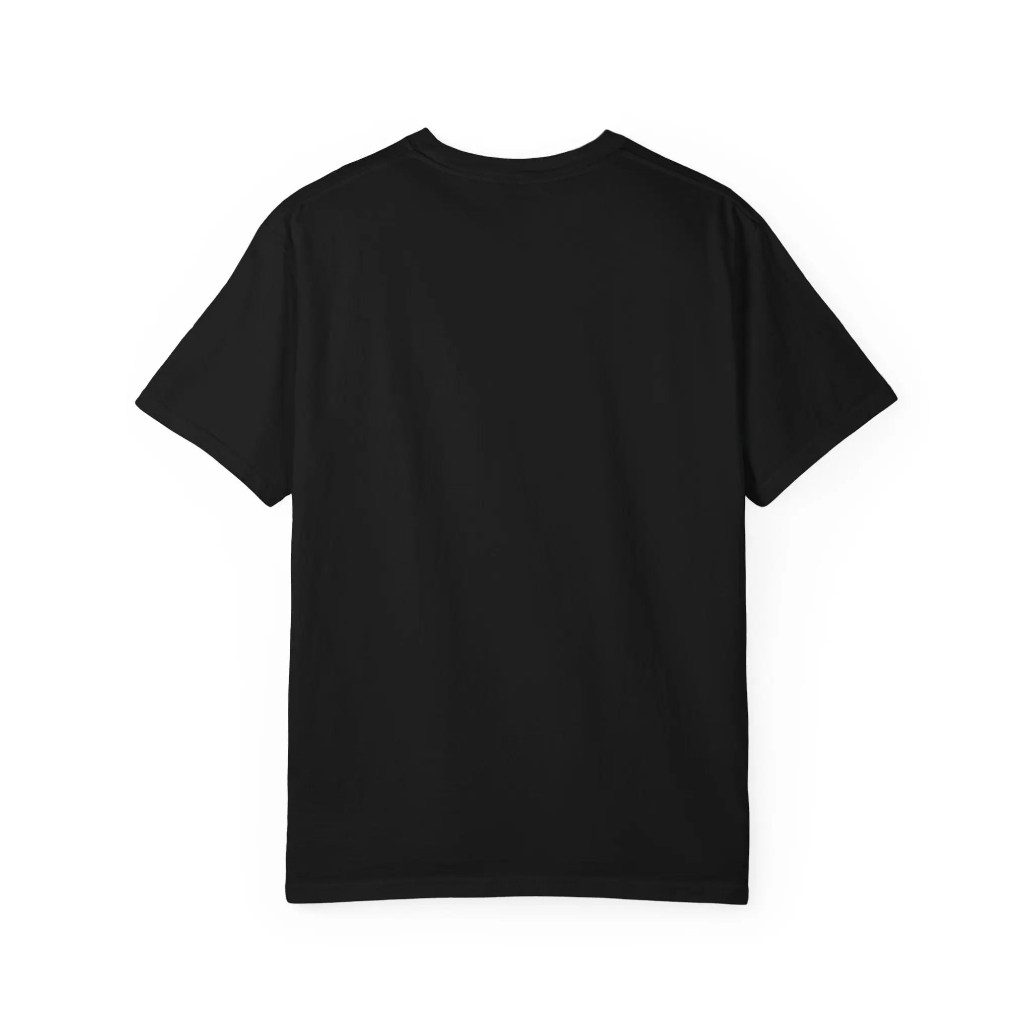 Da Vinci's Vitruvian Man with a Guitar T-Shirt — Classic White Garment-Dyed Tee Printify